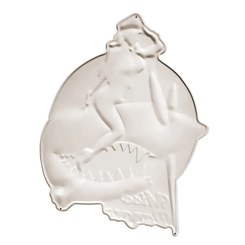 Targa decorativa vintage aereo Pin-Up in alluminio - immagine 4