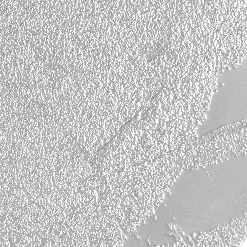 MALTA SILVER CLOCK orologio da parete in legno verniciato