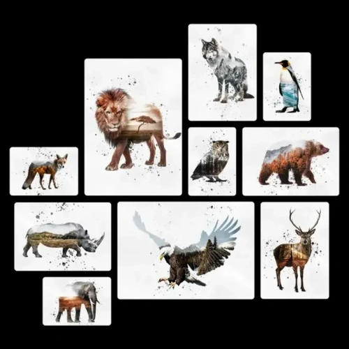 Animali Quadri set 10 pannelli